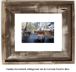 family horseback riding near me in Corozal, Puerto Rico